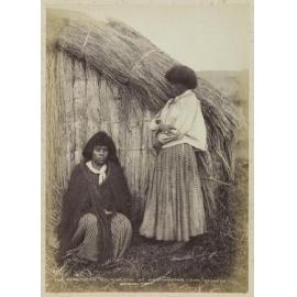 Rangitutaki and Huingatini at Whatiwhatihoe, King Country