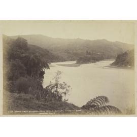 Battle Field of Moutoa, Near Ranana (London) Wanganui River