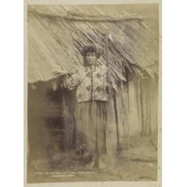 The Fair "Orini" at Ti Eke, King Country