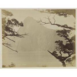 The Lion, Milford Sound