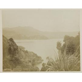 From Quarantine Island