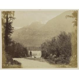 On the Teremakau, West Coast Road