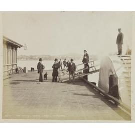 The Wharf, North Shore, Auckland