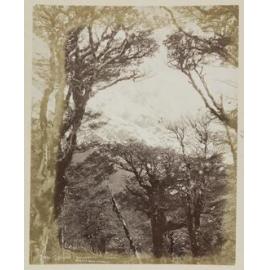 Mount Rolleston Arthur's Pass