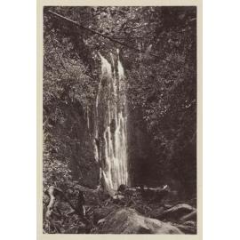 Nicols Creek, Water of Leith