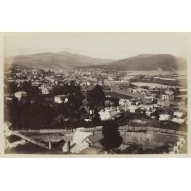 Dunedin from South Belt