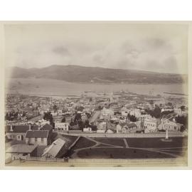 Dunedin from Town Belt (near Roslyn)