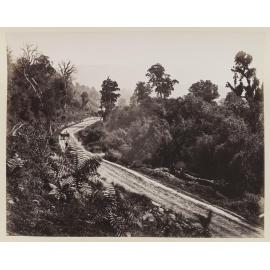 Valley of Leith, Dunedin