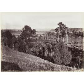 Distant view of Masterton, Wairarapa from the Opaki Plains