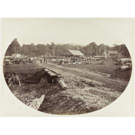 Stuart's Saw Mills, Hooker's Line, near Carterton, Wairarapa