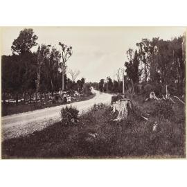 Wellington and Masterton Road, near Carterton, looking North