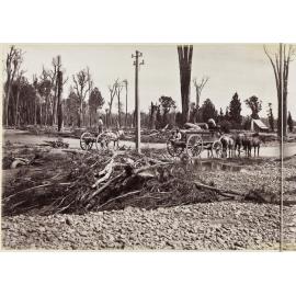 Ford of the Waiohini River at Greytown [part one]