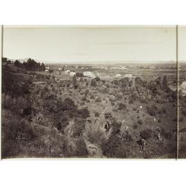 Wairarapa Plains at Featherston [part one]