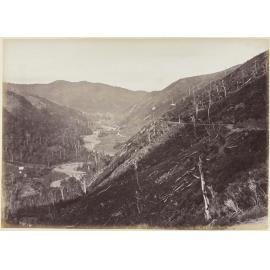 Remutaka Hill from the Roadman's Hut, looking down on the Featherston side