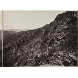 Wellington side of the Remutaka Hill, looking down from old house on the top [part three]