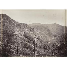 Wellington side of the Remutaka Hill, looking down from old house on the top [part two]