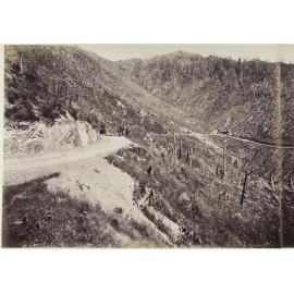 Wellington side of the Remutaka Hill, looking down from old house on the top [part one]