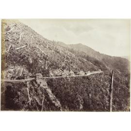 Remutaka Hill, one mile from the top, looking down towards Wellington