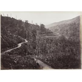Bushy Bend, Red Clay Point,Remutaka Hill