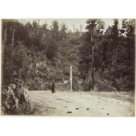 Middle of Bushy Bend, Remutaka Hill, looking down towards Wellington