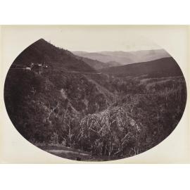 Half way up the Remutaka Hill, Wellington side looking down