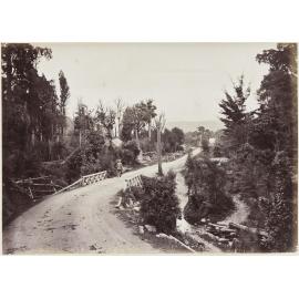 Bottom of the Mungaroa [Mangaroa] Hill, looking down towards Wellington