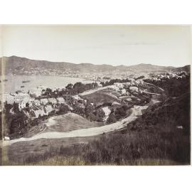 City of Wellington, Port Nicholson, seat of the New Zealand Government [part three]