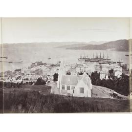 City of Wellington, Port Nicholson, seat of the New Zealand Government [part two]