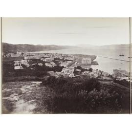 City of Wellington, Port Nicholson, seat of the New Zealand Government [part one]