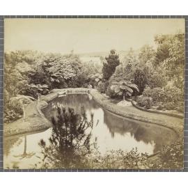 Unidentified pond and garden