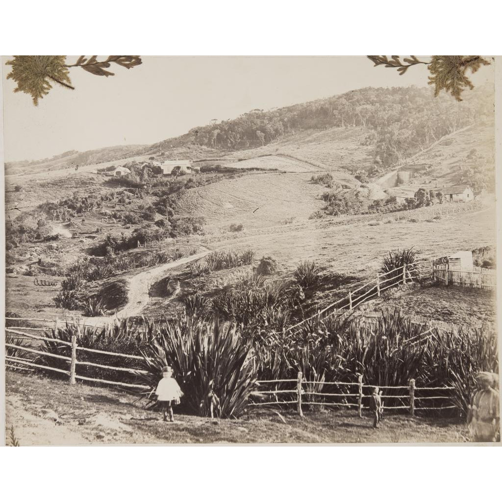 Photograph album of Dunedin with ferns - P2008-095