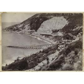 Port Robinson, Cheviot