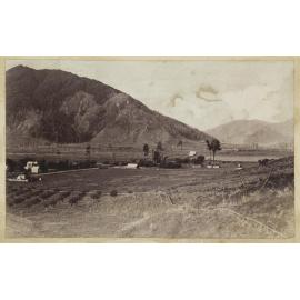 Unidentified landscape