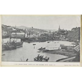 Clipping photograph of Koputai Bay, Port Chalmers
