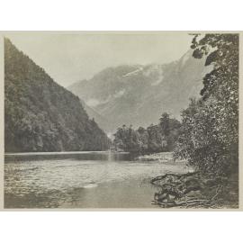 Arthur River, Milford Sound, looking down from boat landing