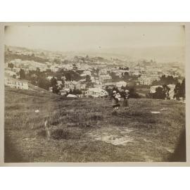 Dunedin from Unity Park