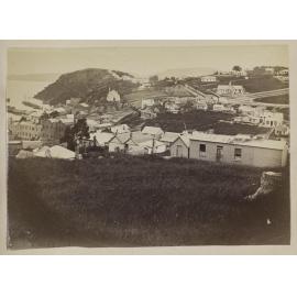 Elevated view of Port Chalmers