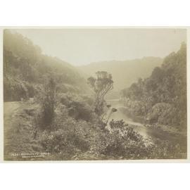 Manawatu Gorge