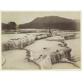 The Hot Water Basins, White Terrace