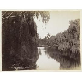 The Avon, Christchurch