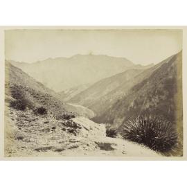 Allender Creek, Moonlight