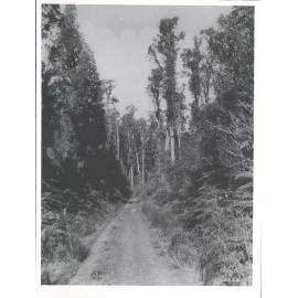 Westland, South Road