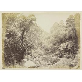 Reservoir Road, Dunedin