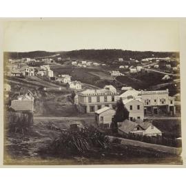 Dunedin from Bell Hill