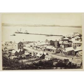 Dunedin from Dowling Street