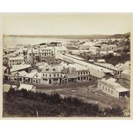 Dunedin from Dowling Street