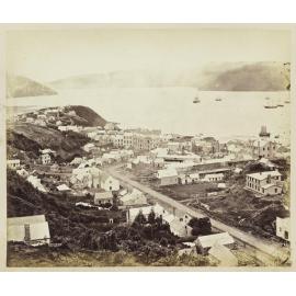 Dunedin from Canongate