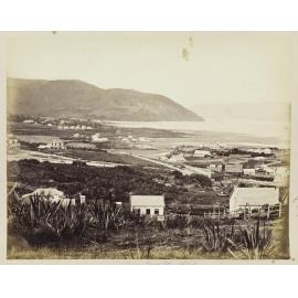 Dunedin from View Street 1861
