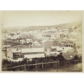 Dunedin from Bell Hill