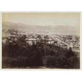 Wellington from south west